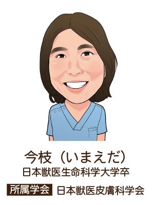 imaedapic