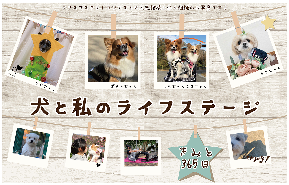 犬と私のライフステージ
